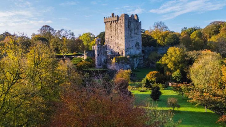 Blick auf das Blarney Castle, umgeben von grüner Landschaft und Bäumen.