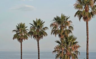 OKU Andalusia