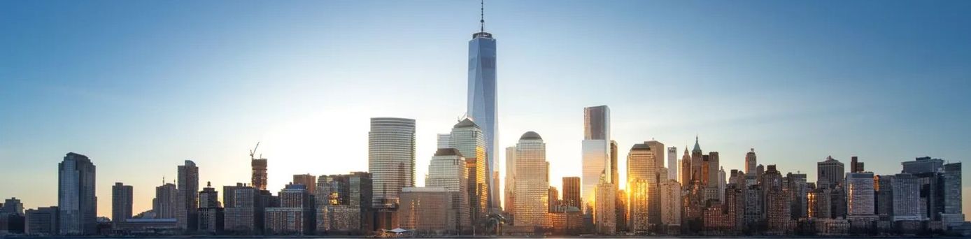 Skyline New York City. Geschäftsreisender bei der Einreisekontrolle in den USA