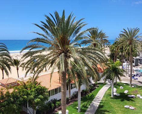Blick von der Dachterrasse über Palmen zum Strand
