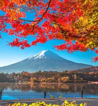 Blühende rote Blätter der Bäume am See in Japan