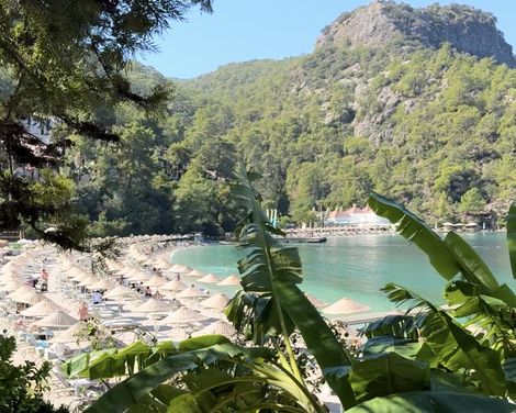 Blick auf einen Strand mit Sonnenschirmen, dahinter bewaldete Hügel und blauer Himmel, im Vordergrund große grüne Blätter.