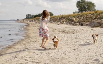 Ostsee Resort Damp - Ferienhäuser Asgard
