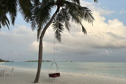 Weißer Sandstrand mit einer, an einer Palme befestigten Schaukel