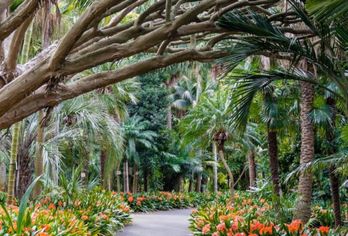 InterContinental Sydney