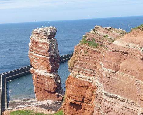 Rote, steil aufragende Felsklippen und ein markanter Felsturm im Meer sind von zahlreichen Seevögeln umgeben.
