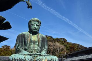 gigantische Buddha Statue in Kamakura - von Jasminblüten und Kirschbäumen verziert