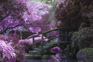 Shanghai Yu Garden