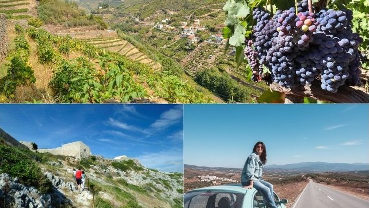 Collage mit Weinbergen im Douro-Tal, einer Wanderung durch felsige Landschaft und einer Reisenden auf einem Auto an einer Landstraße in Portugal.