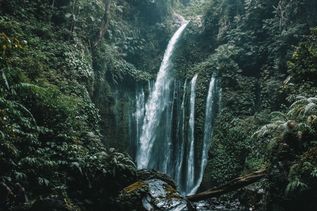 Wasserfälle auf Bali in Indonesien