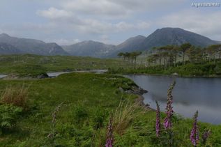 Irland Natur Berge und See