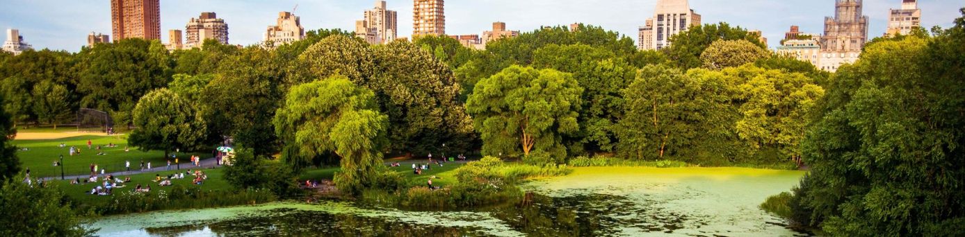 Der Central Park ist ein Stadtpark in New York City