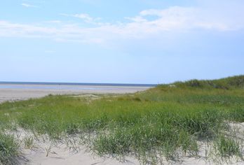 ambassador hotel & spa