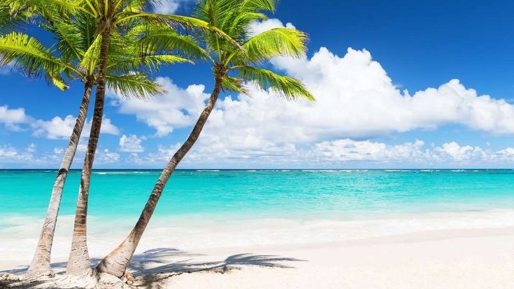 Karibik Strand auf den Bahamas