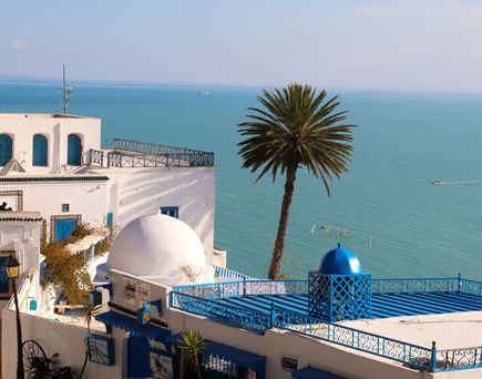 weiße Häuser vor dem Hintergrund von Palme und Meer in Tunesien