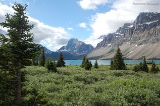 Grüne Natur vor Bergkulisse in Kanada
