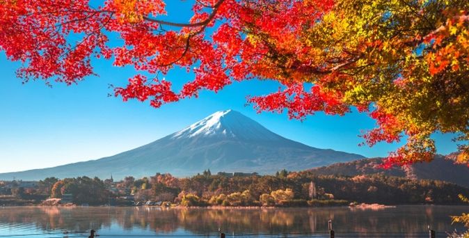 Blühende rote Blätter der Bäume am See in Japan