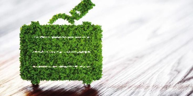 Koffer aus grünen Pflanzen geformt steht auf Holzoberfläche – Symbol für nachhaltiges Reisen und umweltbewussten Tourismus.