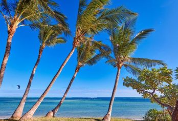 Hotel Riu Palace Mauritius