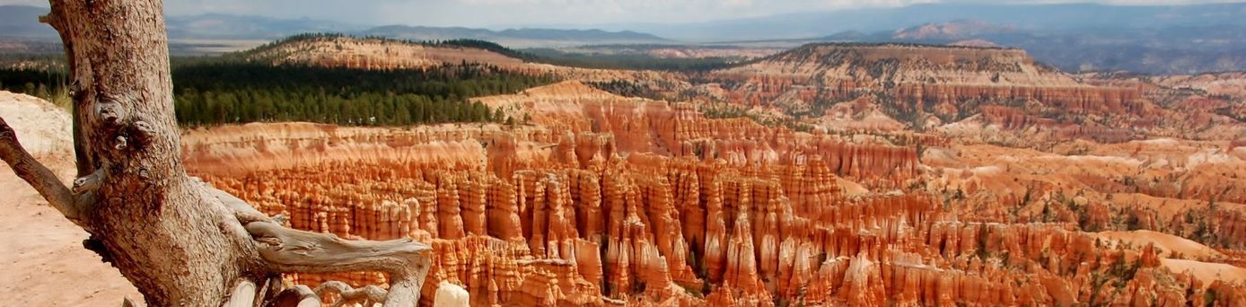 USA Nationalpark Bryce Canyon