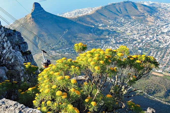 Tafelberg in Kapstadt, Südafrika