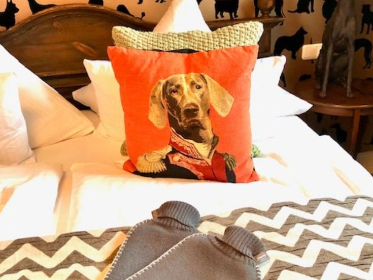 Besonders: Hundezimmer