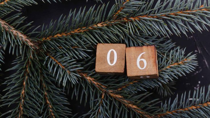 Holzwürfel mit den Zahlen 0 und 6 liegen auf Tannenzweigen 