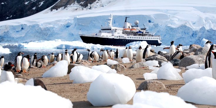 Pinguinkolonie auf einer vereisten Küste in der Antarktis, im Hintergrund ein Expeditionsschiff vor Gletscherwänden