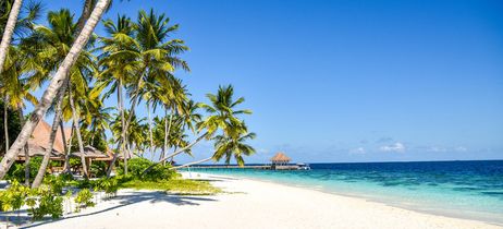 Reethi Faru Resort