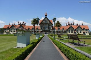Asphaltweg führt durch Garten zu langgezogenem Haus in Neuseeland