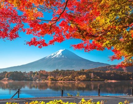 Blühende rote Blätter der Bäume am See in Japan