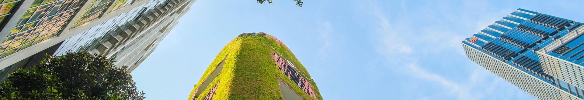 Blick nach oben auf moderne Hochhäuser mit begrünten Fassaden und Bäumen – Symbol für nachhaltige Architektur und umweltbewusstes Stadtleben.