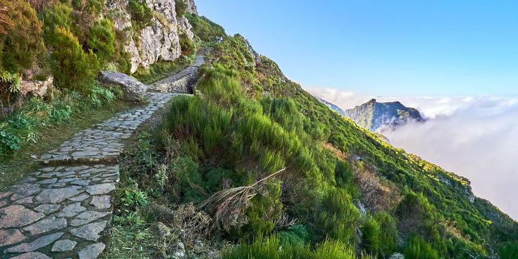 Gepflasterter Wanderweg entlang einer grünen Bergflanke auf Madeira mit Blick auf Berge und Wolkenmeer