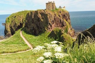 Grüne hügelige Landschaft mit Fels in Schottland