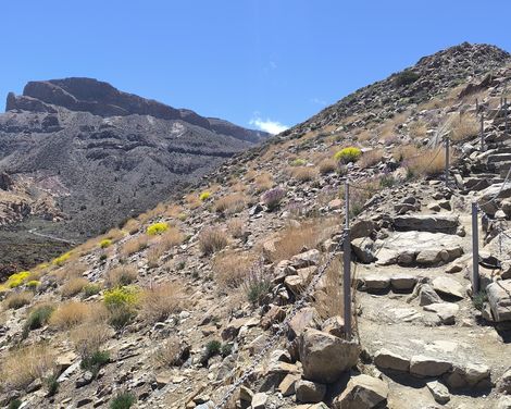 Schmaler Trampelpfad und Steintreppe zum Bergaufstieg