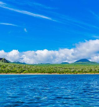 Insel mit grünen Wäldern