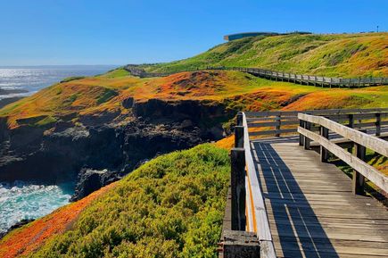 Brücke am Meer in Philipp Island