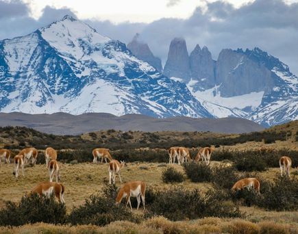 Berge und Landschaft in Chile