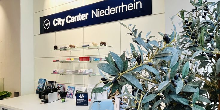 Empfangsbereich des Reisebüros City Center Niederrhein mit modernem Design, Glasregalen und einer grünen Pflanze im Vordergrund.