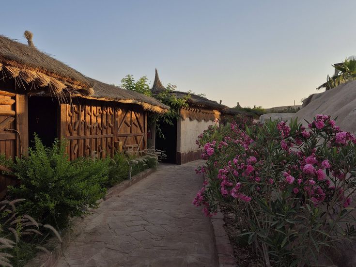 Weg zwischen Bungalows mit bunten Blumenbeeten bei Sonnenuntergang