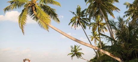 Reethi Faru Resort