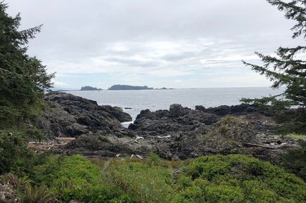 Pacific Rim National Park in Vancouver Island