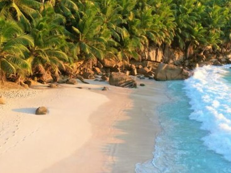 Tropischer Sandstrand mit Palmen und türkisblauem Meer bei Sonnenschein.