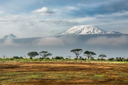 Amboseli Nationalpark in Kenia