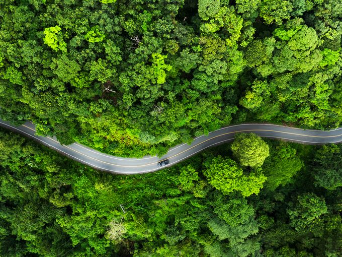 Ansicht von oben auf eine Straße inmitten eines grünen Waldes