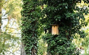 Das Engimatt City & Garden Hotel