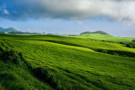 Grüne Landschaft auf der Insel Hawaii Island in USA
