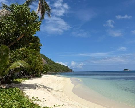 Ruhiger, weißer Sandstrand mit Palmen, dichter tropischer Vegetation und klarem türkisfarbenem Meer.