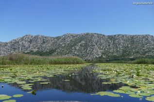 See vor Bergkulisse in Kroatien