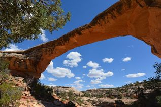 Natural Bridges National Monument